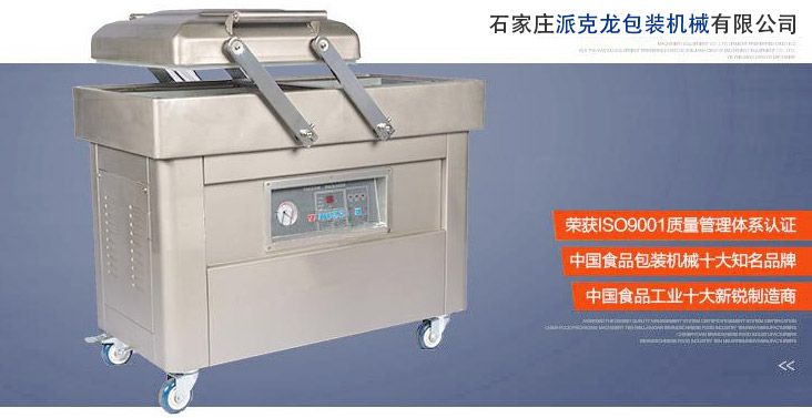 雙室真空包裝機(jī)械設(shè)備