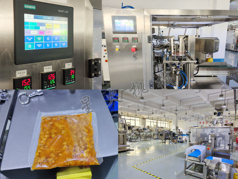 成都給袋式肉片包裝機(jī)細(xì)節(jié)圖