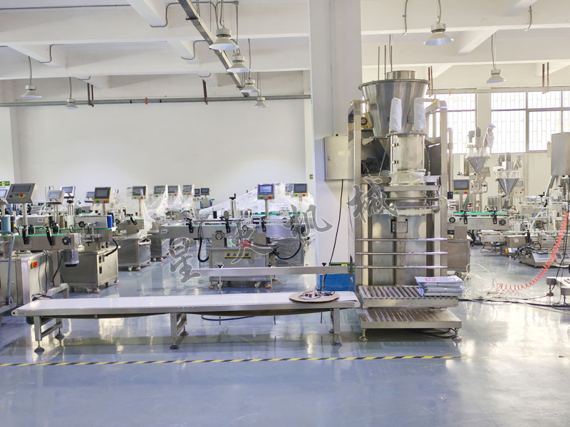 成都粉劑稱重包裝機(jī)實(shí)拍圖